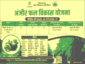 Bihar Anjeer Vikas Yojana 2025